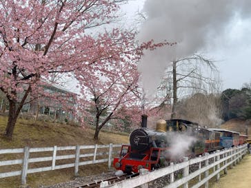 修善寺虹の郷に投稿された画像（2025/11/4）