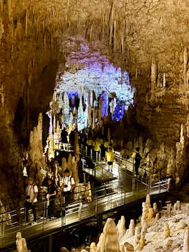 おきなわワールドに投稿された画像（2025/11/4）