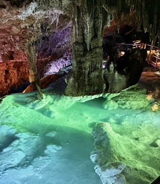 おきなわワールドに投稿された画像（2025/11/4）