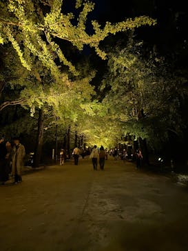 国営昭和記念公園 秋の夜散歩に投稿された画像（2025/11/4）