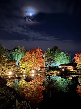 国営昭和記念公園 秋の夜散歩に投稿された画像（2025/11/4）