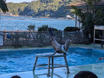 あわしまマリンパークに投稿された画像（2025/11/4）