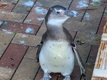 あわしまマリンパークに投稿された画像（2025/11/4）