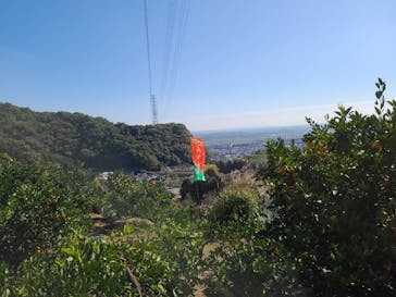 あかざと園に投稿された画像（2025/11/4）