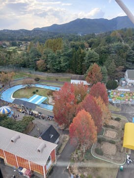 東条湖おもちゃ王国に投稿された画像（2025/11/4）