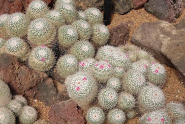 伊豆シャボテン動物公園に投稿された画像（2025/11/4）