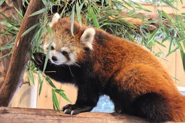 伊豆シャボテン動物公園に投稿された画像（2025/11/4）