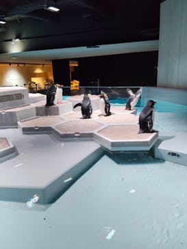 AOAO SAPPOROに投稿された画像（2025/11/4）