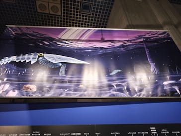 特別展「大絶滅展―生命史のビッグファイブ」に投稿された画像（2025/11/4）