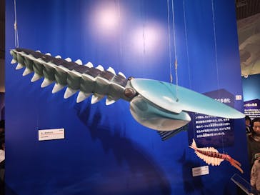 特別展「大絶滅展―生命史のビッグファイブ」に投稿された画像（2025/11/4）