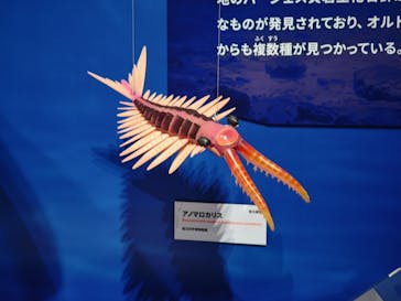 特別展「大絶滅展―生命史のビッグファイブ」に投稿された画像（2025/11/4）