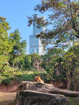 天王寺動物園に投稿された画像（2025/11/4）