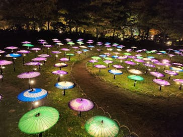 国営昭和記念公園 秋の夜散歩に投稿された画像（2025/11/4）