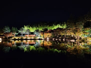 国営昭和記念公園 秋の夜散歩に投稿された画像（2025/11/4）