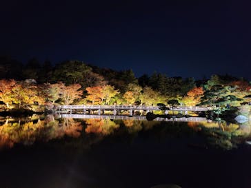 国営昭和記念公園 秋の夜散歩に投稿された画像（2025/11/4）