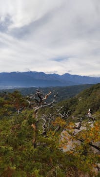 昇仙峡ロープウェイに投稿された画像（2025/11/4）