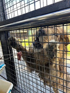 那須サファリパークに投稿された画像（2025/11/4）