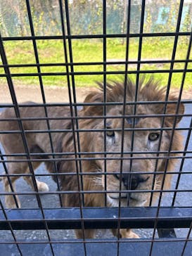 那須サファリパークに投稿された画像（2025/11/4）