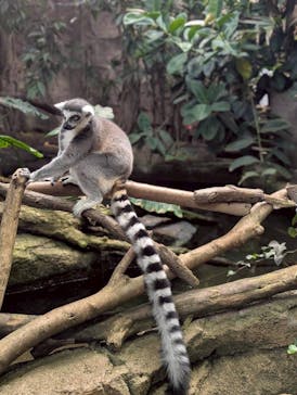 那須どうぶつ王国に投稿された画像（2025/11/4）