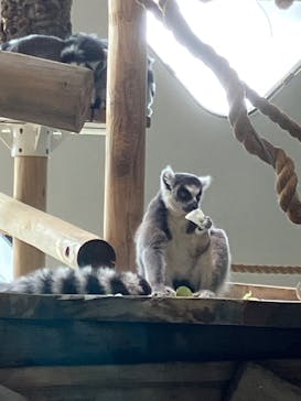 NIFREL（ニフレル）に投稿された画像（2025/11/4）