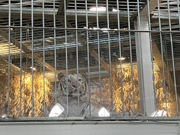 NIFREL（ニフレル）に投稿された画像（2025/11/4）