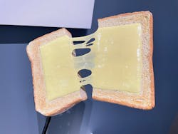 キボリノコンノ展 食べたい！木彫りアートの世界に投稿された画像（2025/11/4）