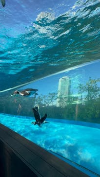 サンシャイン水族館に投稿された画像（2025/11/4）