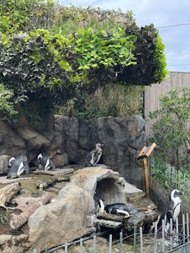 サンシャイン水族館に投稿された画像（2025/11/4）