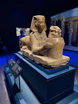 ACN ラムセス大王展 ファラオたちの黄金に投稿された画像（2025/11/4）