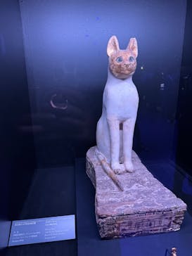 ACN ラムセス大王展 ファラオたちの黄金に投稿された画像（2025/11/4）