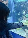 アクアワールド茨城県大洗水族館に投稿された画像（2025/11/4）