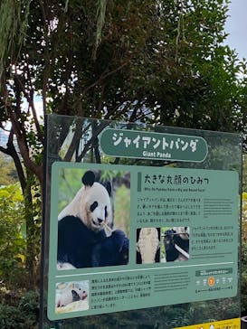 恩賜上野動物園に投稿された画像（2025/11/4）