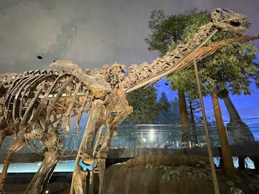 福井県立恐竜博物館に投稿された画像（2025/11/4）