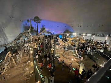 福井県立恐竜博物館に投稿された画像（2025/11/4）
