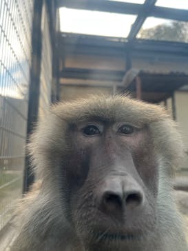 東武動物公園に投稿された画像（2025/11/4）