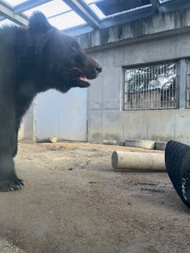 東武動物公園に投稿された画像（2025/11/4）