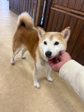 東武動物公園に投稿された画像（2025/11/4）