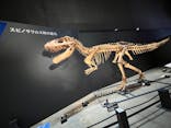 福井県立恐竜博物館に投稿された画像（2025/11/4）