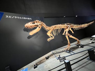 福井県立恐竜博物館に投稿された画像（2025/11/4）
