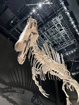 福井県立恐竜博物館に投稿された画像（2025/11/4）