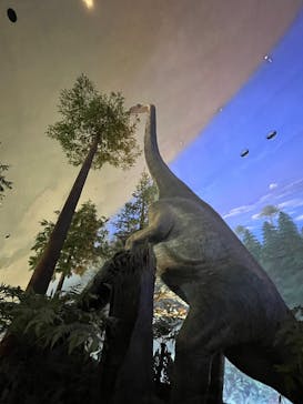 福井県立恐竜博物館に投稿された画像（2025/11/4）