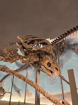 福井県立恐竜博物館に投稿された画像（2025/11/4）