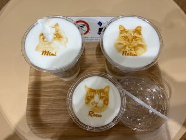 Cat Café MOFF つかしん店に投稿された画像（2025/11/4）