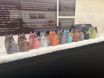 AQUARIUM × ART　atoa×felissimo chocolate museum（フェリシモ チョコレート ミュージアム）に投稿された画像（2025/11/4）