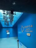 仙台うみの杜水族館に投稿された画像（2025/11/4）