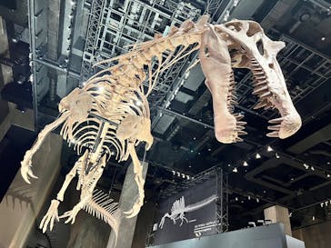 福井県立恐竜博物館に投稿された画像（2025/11/4）