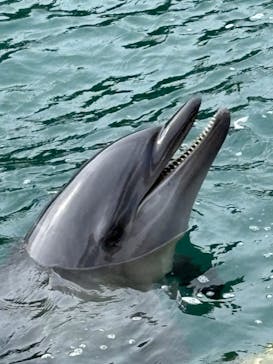 下田海中水族館に投稿された画像（2025/11/4）
