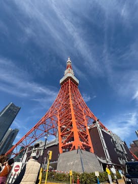 東京タワーに投稿された画像（2025/11/4）