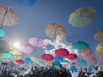 万博記念公園に投稿された画像（2025/11/4）