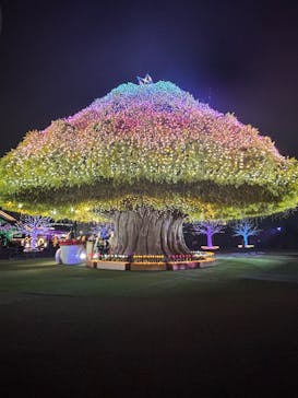 東京メガイルミに投稿された画像（2025/11/4）